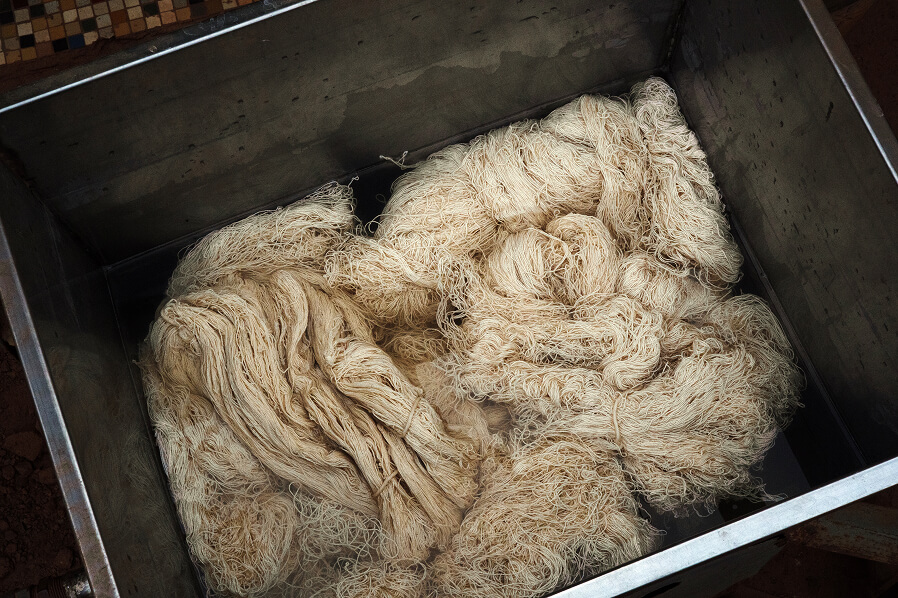 Raw cotton in its primary state, gathered and prepared for the spindle.
